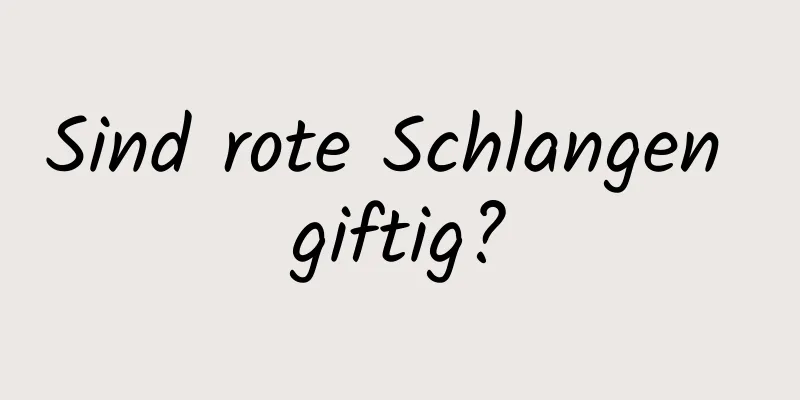 Sind rote Schlangen giftig?