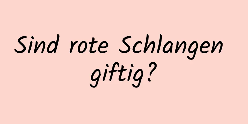 Sind rote Schlangen giftig?