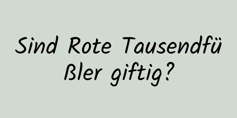 Sind Rote Tausendfüßler giftig?