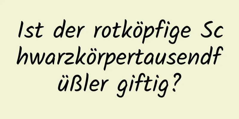 Ist der rotköpfige Schwarzkörpertausendfüßler giftig?
