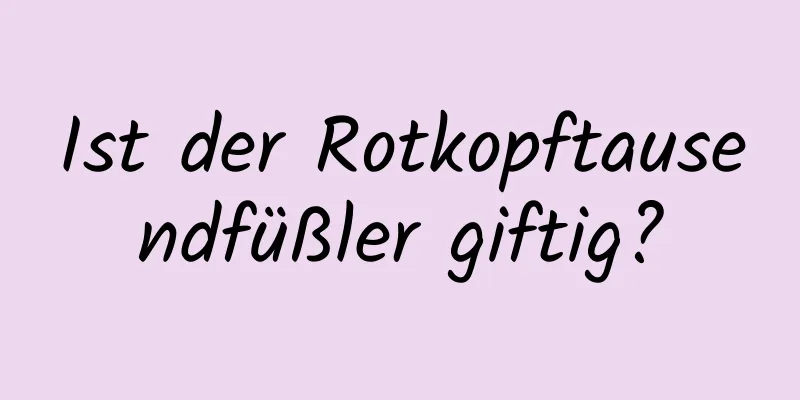 Ist der Rotkopftausendfüßler giftig?