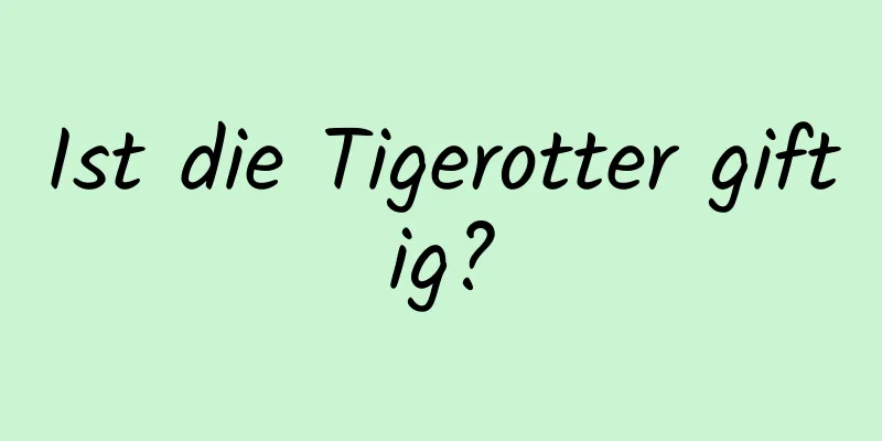 Ist die Tigerotter giftig?