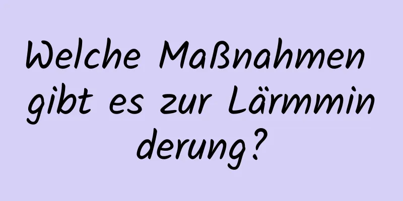 Welche Maßnahmen gibt es zur Lärmminderung?