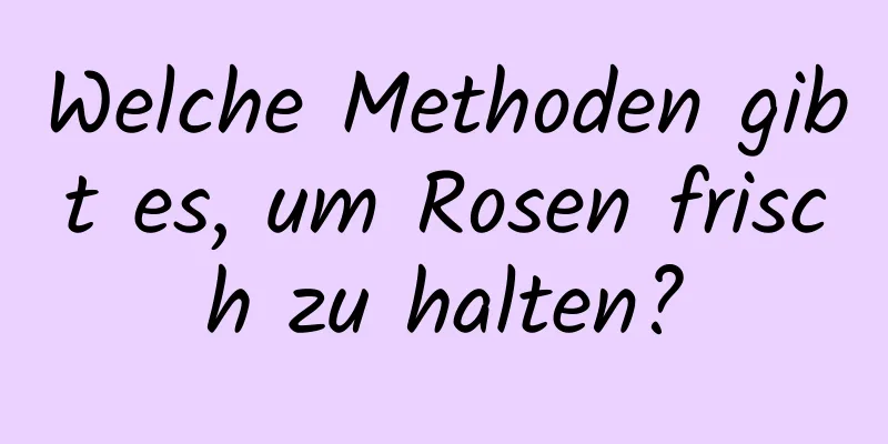Welche Methoden gibt es, um Rosen frisch zu halten?