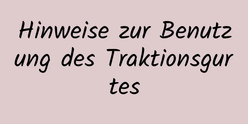 Hinweise zur Benutzung des Traktionsgurtes