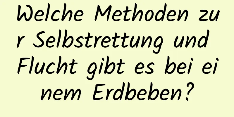 Welche Methoden zur Selbstrettung und Flucht gibt es bei einem Erdbeben?
