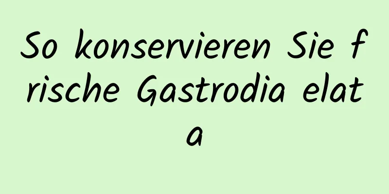 So konservieren Sie frische Gastrodia elata