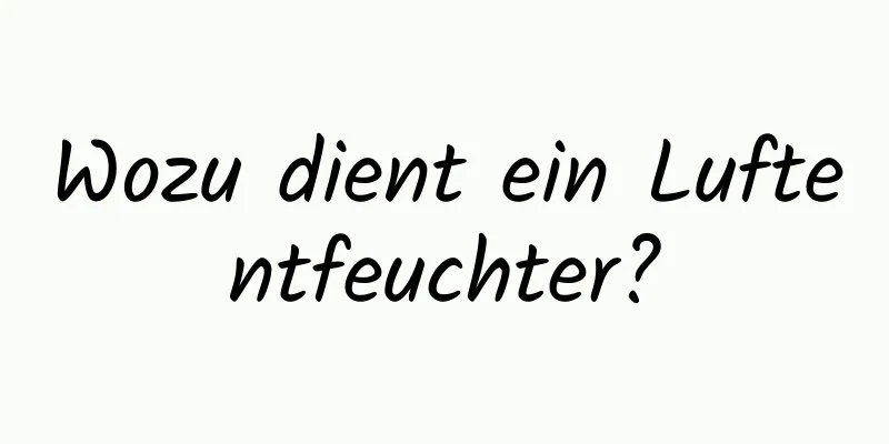 Wozu dient ein Luftentfeuchter?