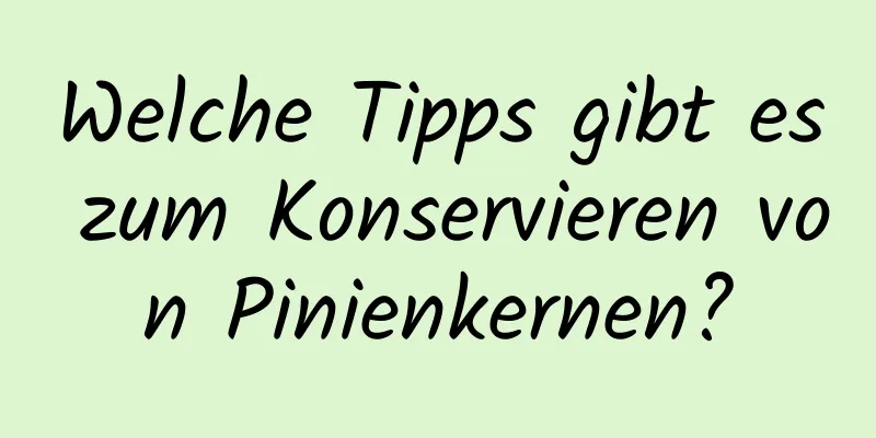Welche Tipps gibt es zum Konservieren von Pinienkernen?