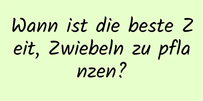 Wann ist die beste Zeit, Zwiebeln zu pflanzen?