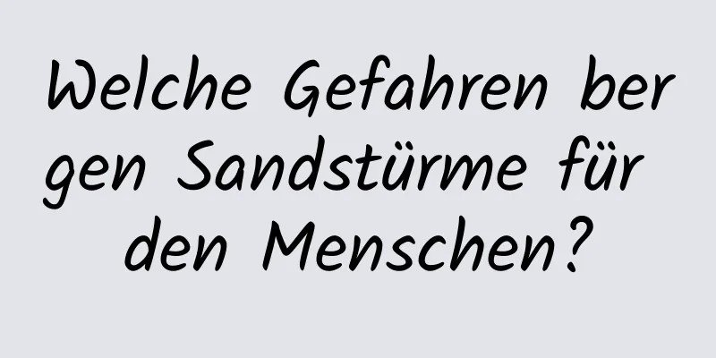 Welche Gefahren bergen Sandstürme für den Menschen?