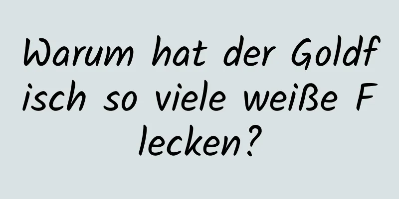Warum hat der Goldfisch so viele weiße Flecken?