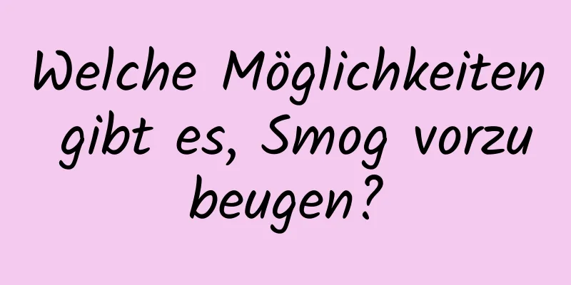 Welche Möglichkeiten gibt es, Smog vorzubeugen?