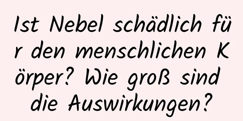 Ist Nebel schädlich für den menschlichen Körper? Wie groß sind die Auswirkungen?