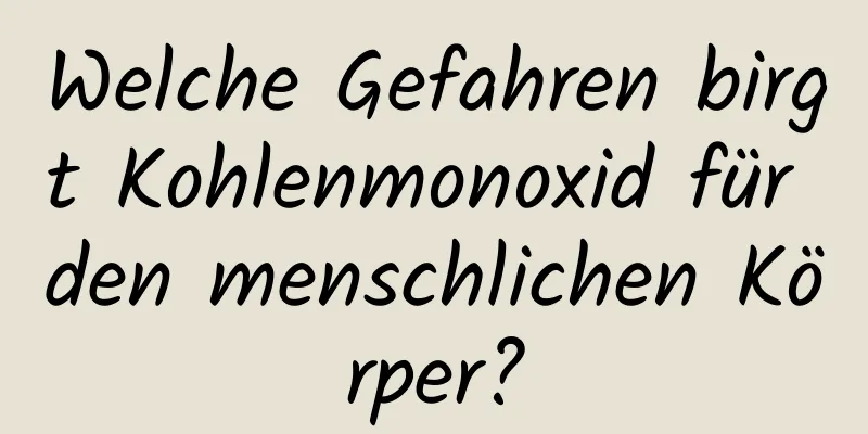 Welche Gefahren birgt Kohlenmonoxid für den menschlichen Körper?