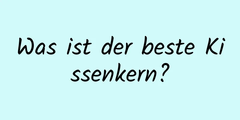 Was ist der beste Kissenkern?