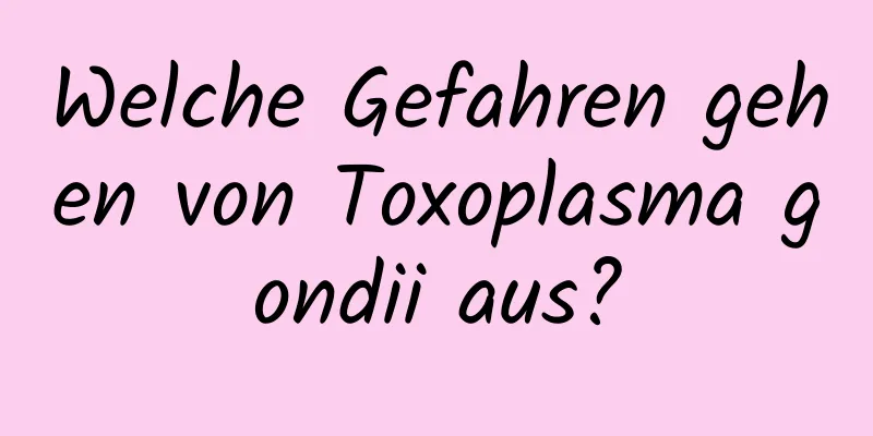 Welche Gefahren gehen von Toxoplasma gondii aus?