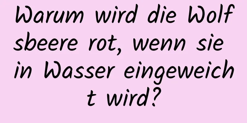 Warum wird die Wolfsbeere rot, wenn sie in Wasser eingeweicht wird?
