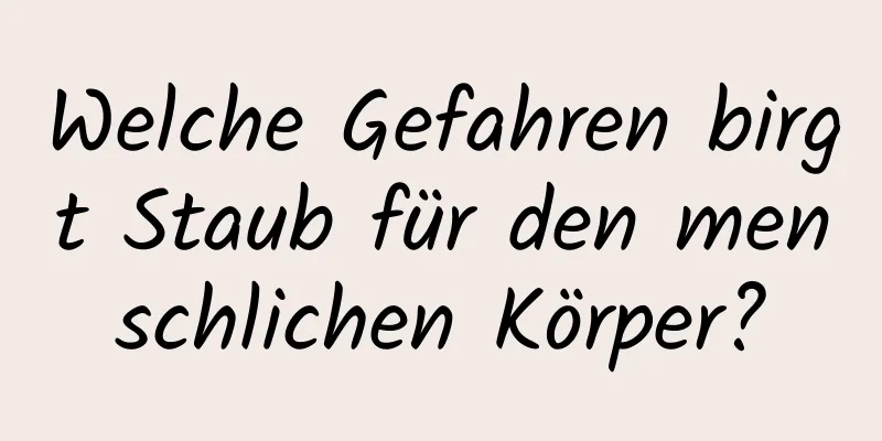 Welche Gefahren birgt Staub für den menschlichen Körper?