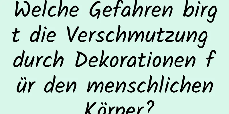 Welche Gefahren birgt die Verschmutzung durch Dekorationen für den menschlichen Körper?