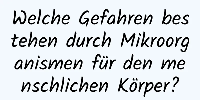 Welche Gefahren bestehen durch Mikroorganismen für den menschlichen Körper?