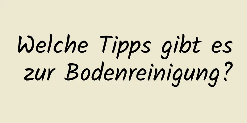 Welche Tipps gibt es zur Bodenreinigung?