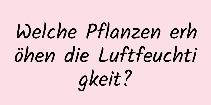 Welche Pflanzen erhöhen die Luftfeuchtigkeit?