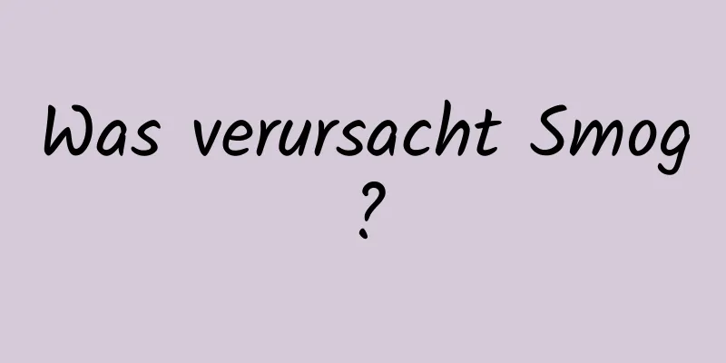 Was verursacht Smog?