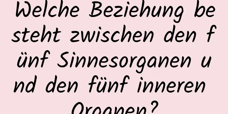Welche Beziehung besteht zwischen den fünf Sinnesorganen und den fünf inneren Organen?