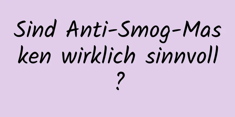 Sind Anti-Smog-Masken wirklich sinnvoll?