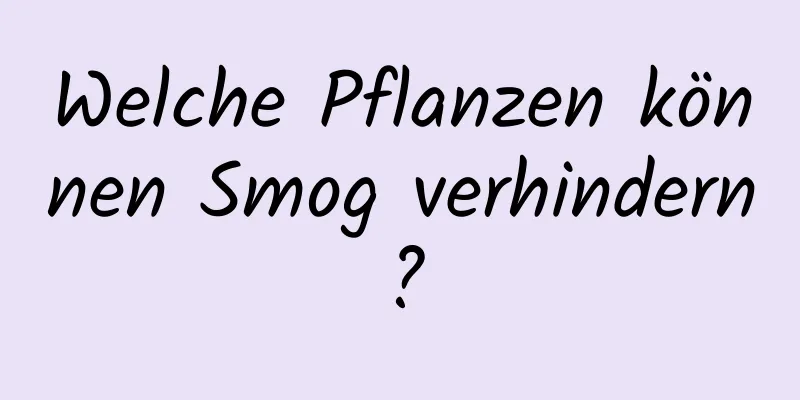 Welche Pflanzen können Smog verhindern?