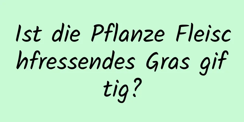 Ist die Pflanze Fleischfressendes Gras giftig?