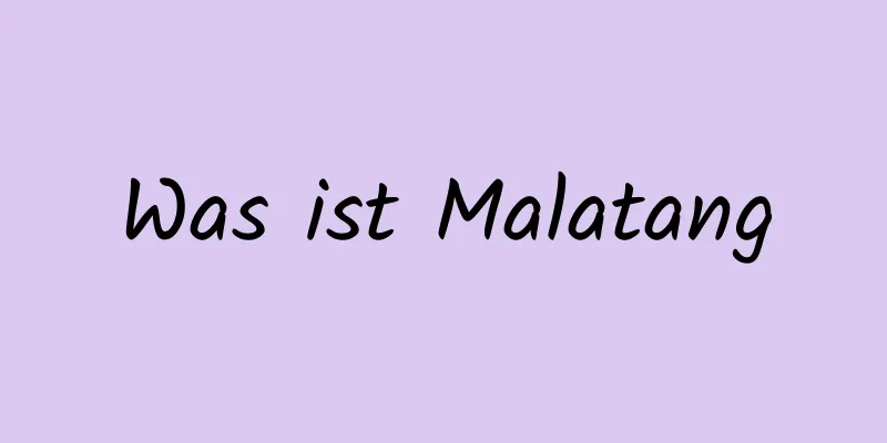 Was ist Malatang