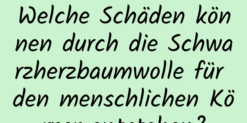 Welche Schäden können durch die Schwarzherzbaumwolle für den menschlichen Körper entstehen?