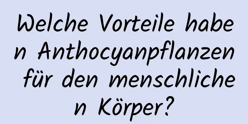 Welche Vorteile haben Anthocyanpflanzen für den menschlichen Körper?