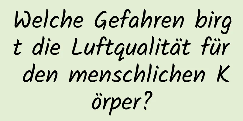 Welche Gefahren birgt die Luftqualität für den menschlichen Körper?