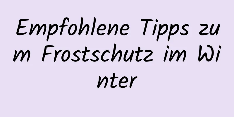 Empfohlene Tipps zum Frostschutz im Winter