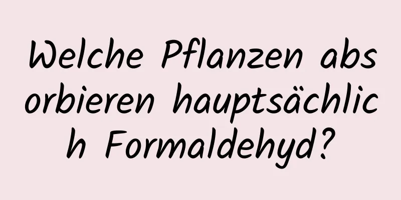 Welche Pflanzen absorbieren hauptsächlich Formaldehyd?