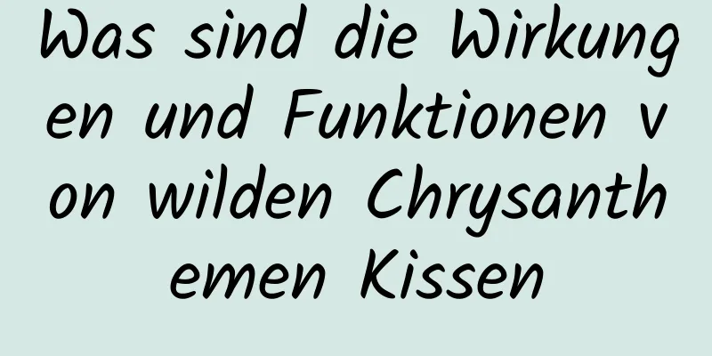 Was sind die Wirkungen und Funktionen von wilden Chrysanthemen Kissen