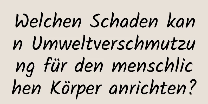 Welchen Schaden kann Umweltverschmutzung für den menschlichen Körper anrichten?
