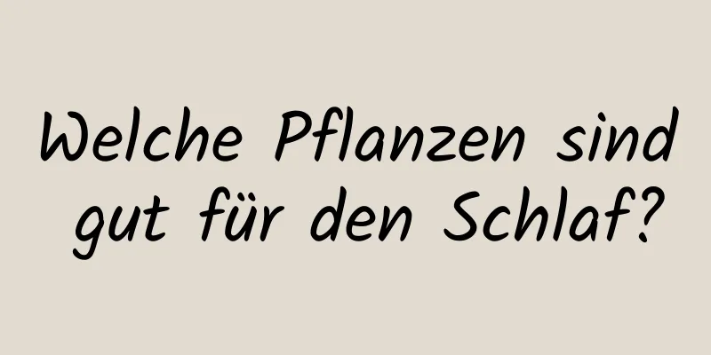 Welche Pflanzen sind gut für den Schlaf?
