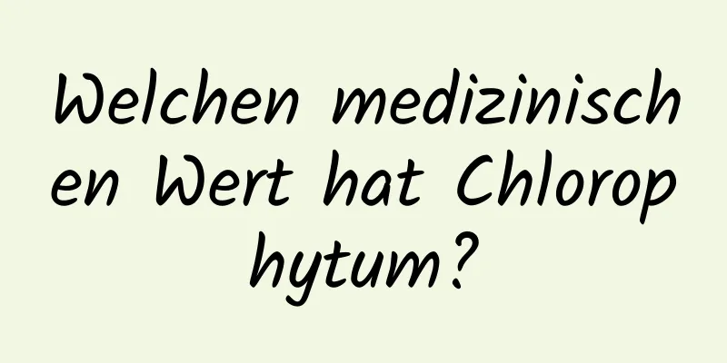 Welchen medizinischen Wert hat Chlorophytum?