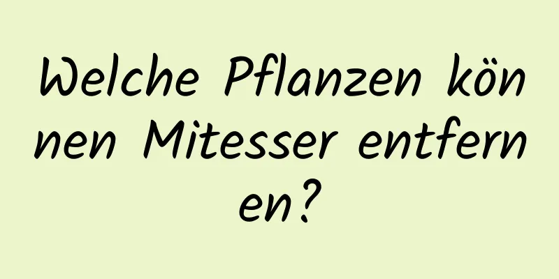 Welche Pflanzen können Mitesser entfernen?