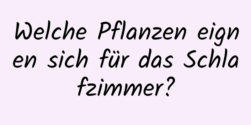 Welche Pflanzen eignen sich für das Schlafzimmer?