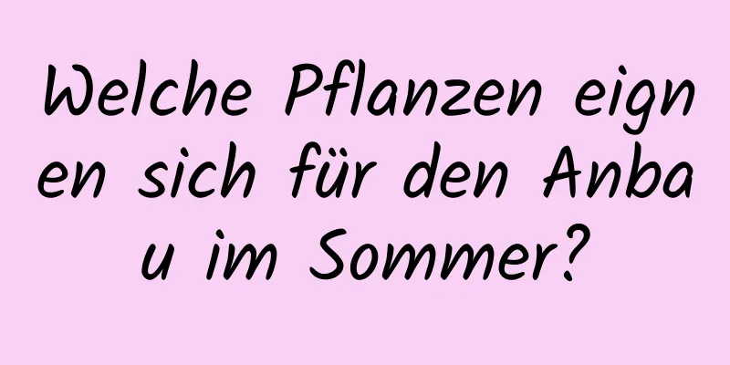 Welche Pflanzen eignen sich für den Anbau im Sommer?