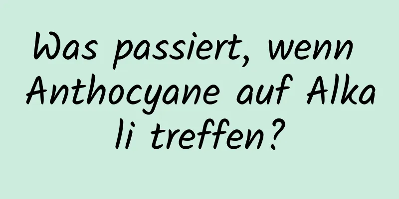 Was passiert, wenn Anthocyane auf Alkali treffen?