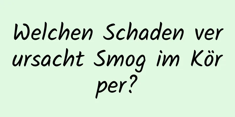 Welchen Schaden verursacht Smog im Körper?