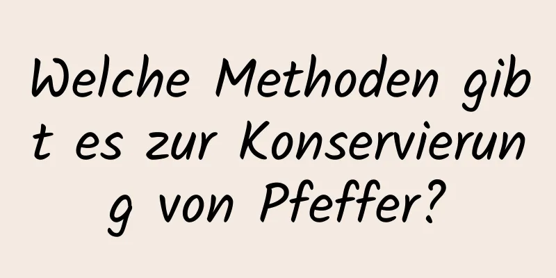 Welche Methoden gibt es zur Konservierung von Pfeffer?