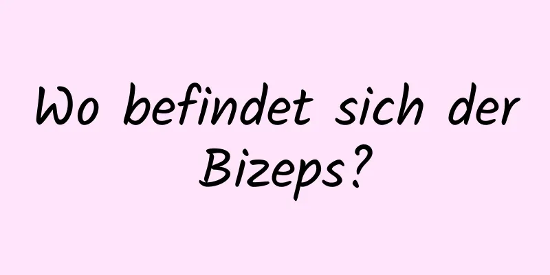 Wo befindet sich der Bizeps?