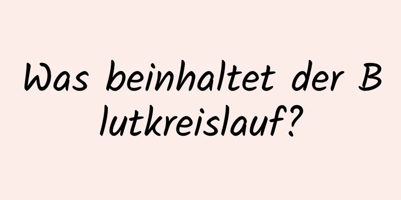Was beinhaltet der Blutkreislauf?